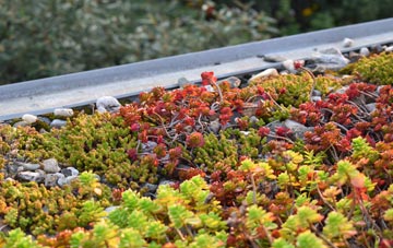 the cost of Nun Appleton green roof installation