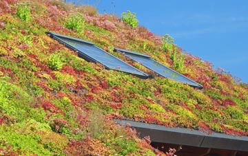 Nun Appleton living roof systems