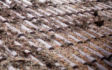 Nun Appleton roof cleaning companies